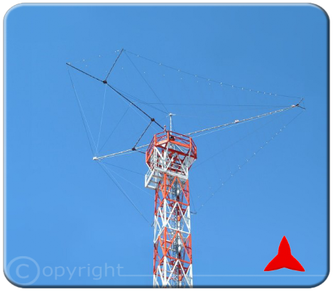 Protel ARL530.1 Antenna direzionale Log-Periodica HF 2-30 MHz 7 dB