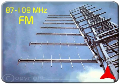 Protel ARL0208 Antenna logaritmica log-periodica FM 87.5 88 108 MHz